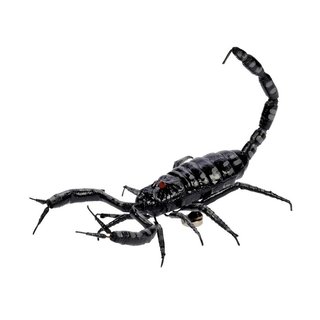 Kühlschrankmagnet Skorpion in Heimchendose