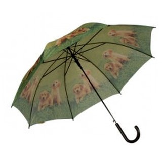 Regenschirm Stockschirm zwei Hundewelpen Labrador Retriever