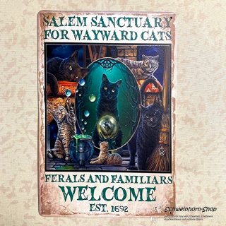 Blechschild Katze "Salem Sanctuary for Wayward Cats" B-Qualität