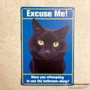Blechschild Katze mit Spruch "Excuse Me! Were you...