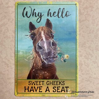 Blechschild Pferd mit Spruch "Why hello, Sweet Cheeks have a seat"